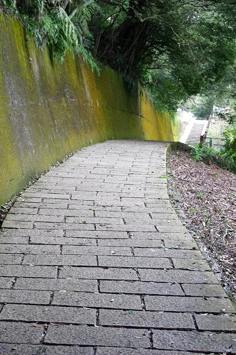 涵碧步道 攝影：Eva隨手拍