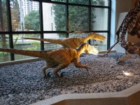 恐龍動態模型展示場<br/> 攝影：三井