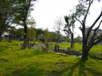 岡山中山公園庭園造景<br/> 攝影：三井