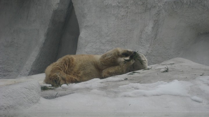 上海動物園 攝影：Crystal