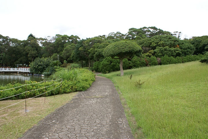 純青湖週邊步道 攝影：Eva隨手拍