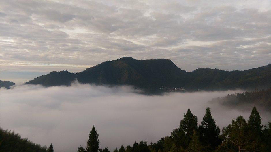 阿里山雲海 攝影：晏伶