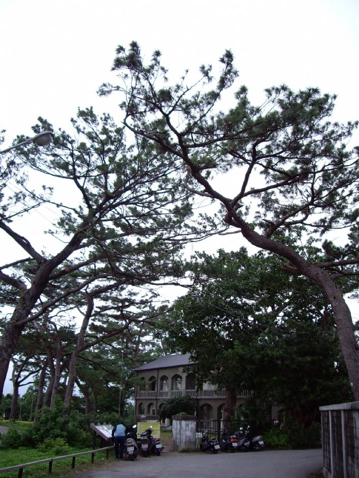 松園別館 攝影：Eva隨手拍