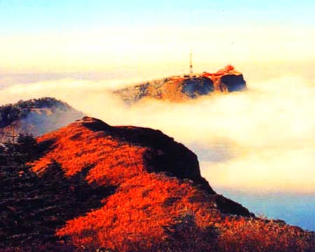 金頂日出 攝影：四川旅遊信息網