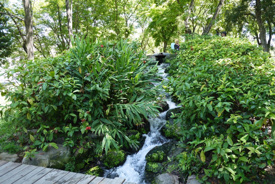 大東濕地公園 攝影：旅遊王攝影組