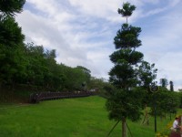 和平公園<br/> 攝影：Eva隨手拍