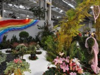 花博爭艷館-競花藝術(特展與花卉競賽)<br/> 攝影：amo