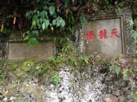 天龍吊橋<br/> 攝影：林錦萍