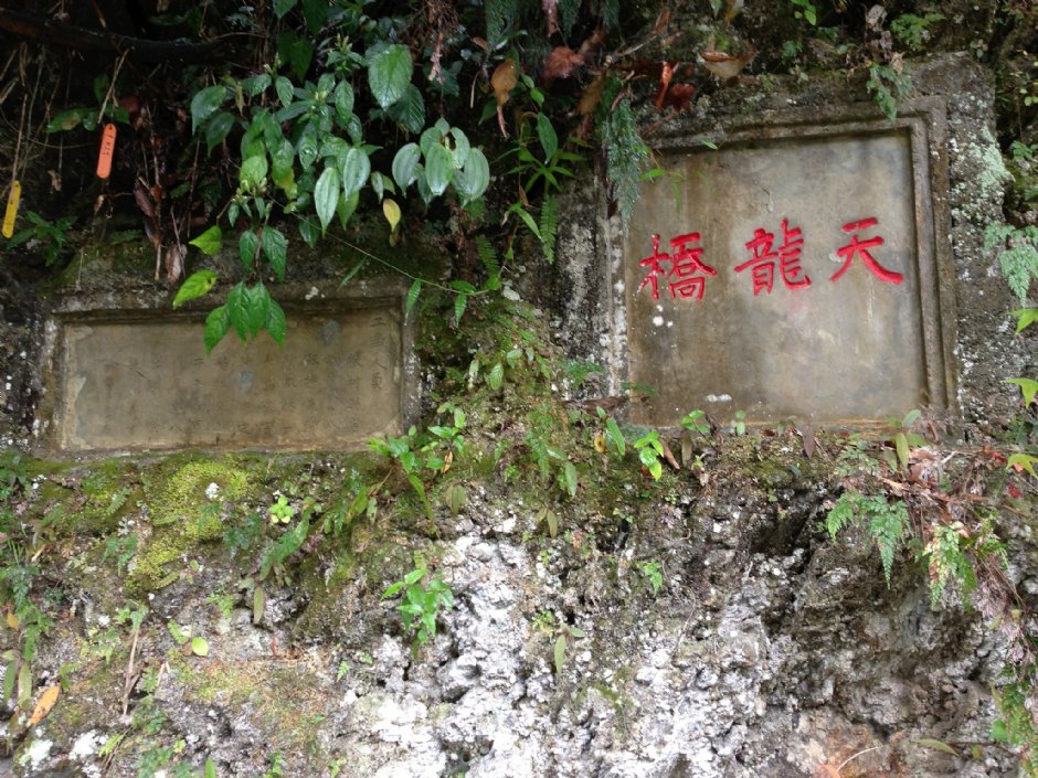 天龍吊橋 攝影：林錦萍
