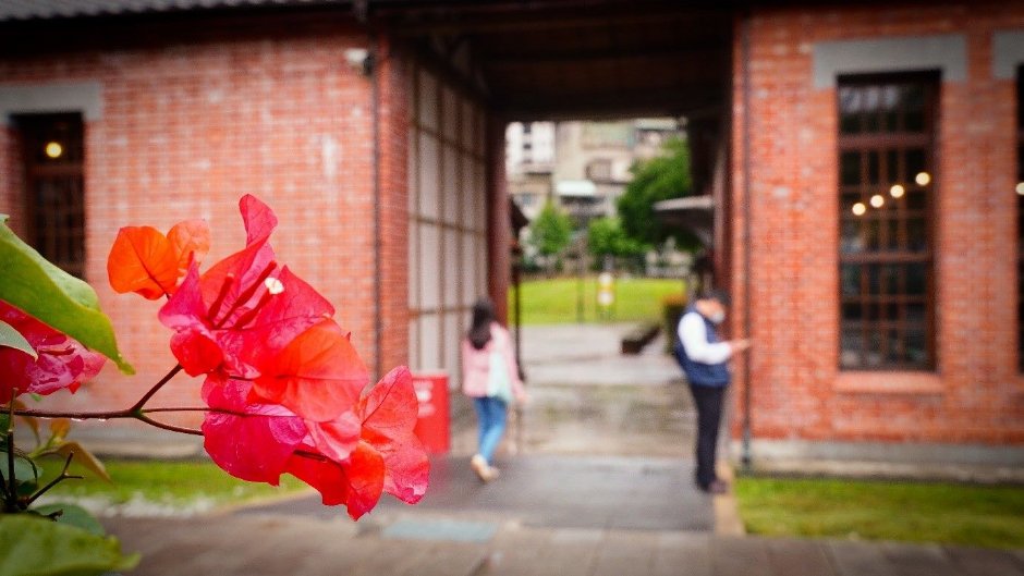 樹心會館現由文獻會管理 攝影：圖片來源_台北市政府工務局