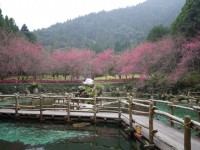 九族文化村<br/> 攝影：旅遊王攝影組