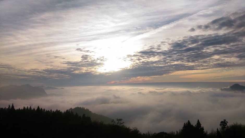 阿里山雲海 攝影：晏伶