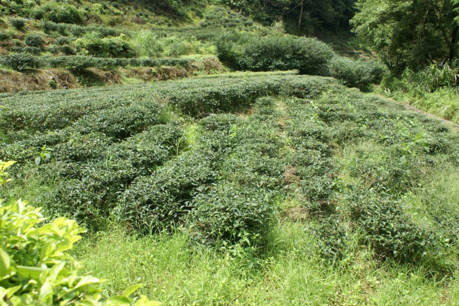 坪林石雕公園 攝影：Eva隨手拍