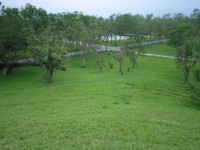 羅東運動公園2015<br/> 攝影：旅遊王攝影組