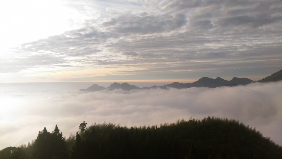 阿里山雲海 攝影：晏伶