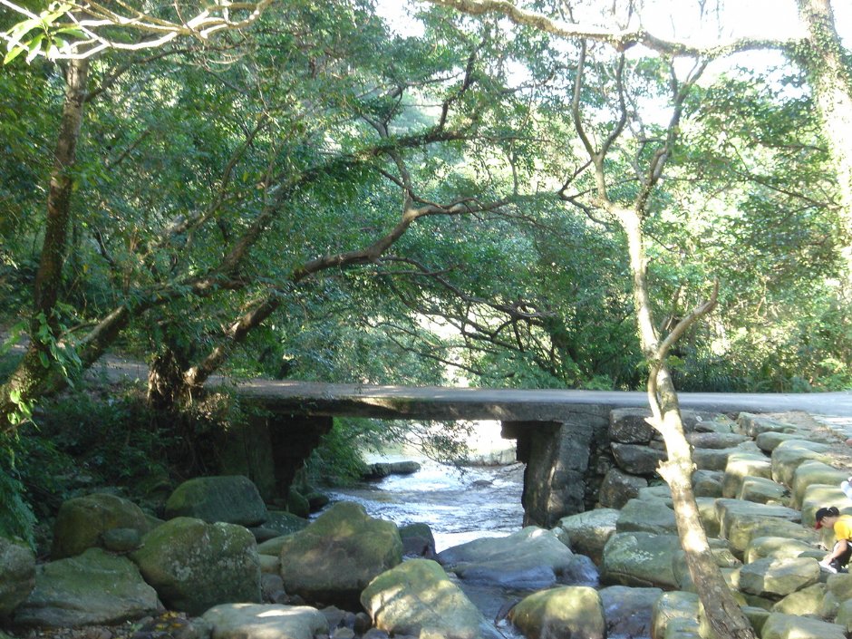 石橋 攝影：陳美吟