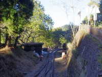水山巨木步道<br/> 攝影：Eva隨手拍