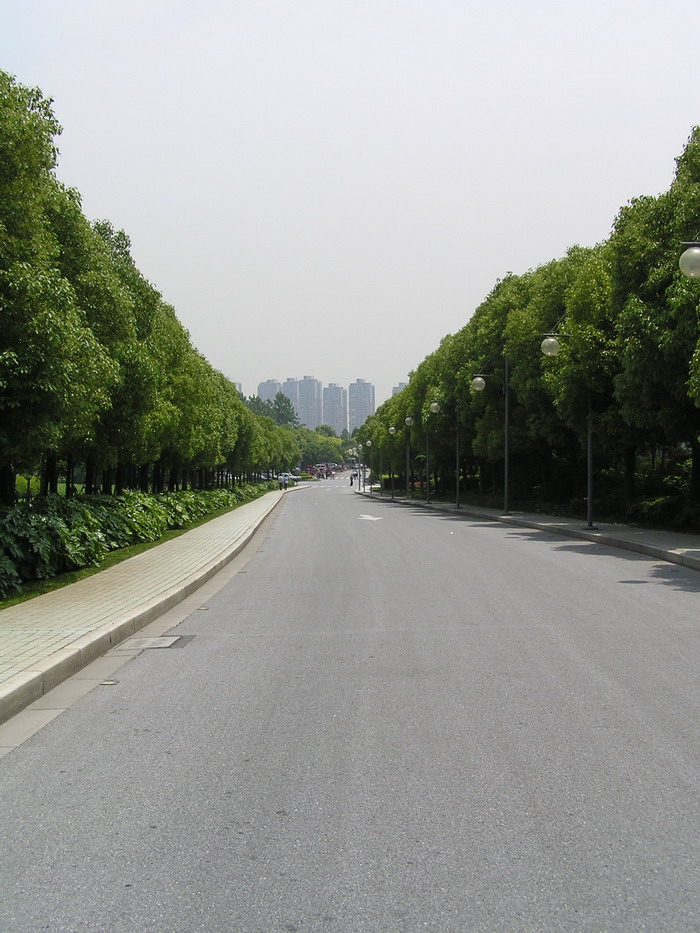 世紀公園 攝影：陳銘祥