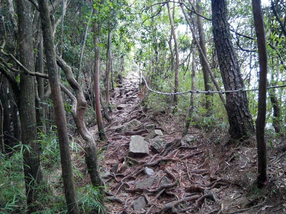 鳶嘴山步道 攝影：Lu
