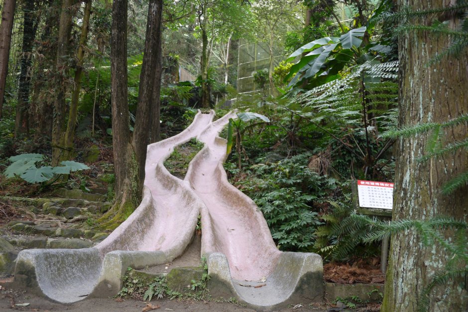 鳳凰谷鳥園森林步道 攝影：三井