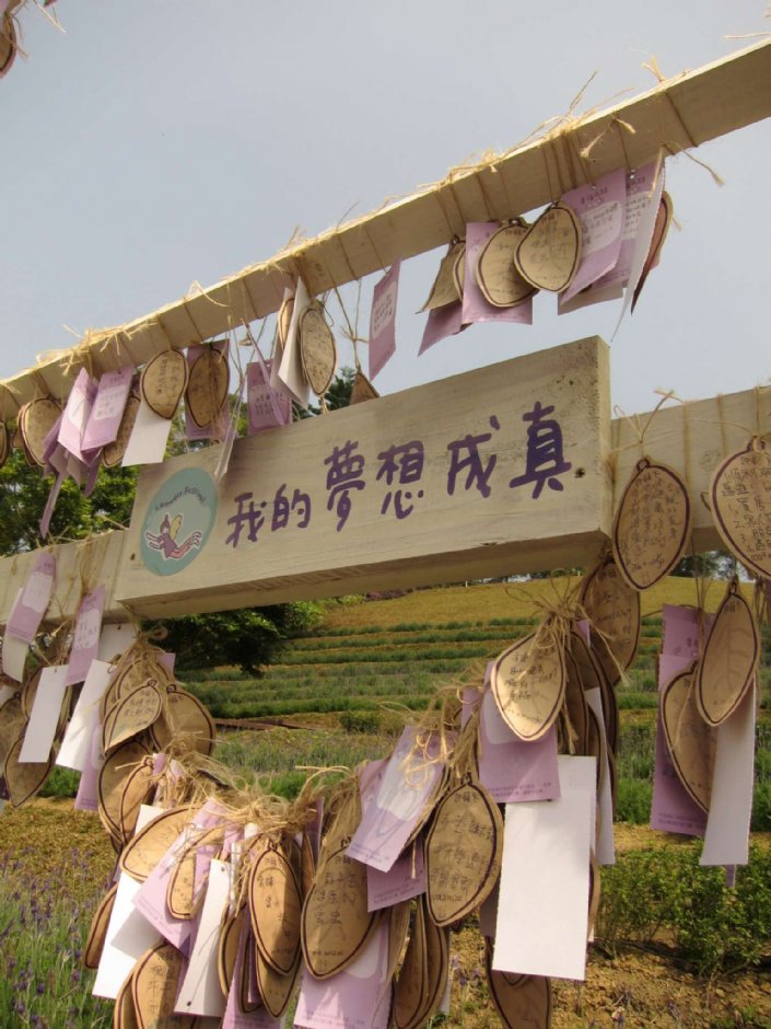 熏衣草森林-明德店 摄影：陳皮梅