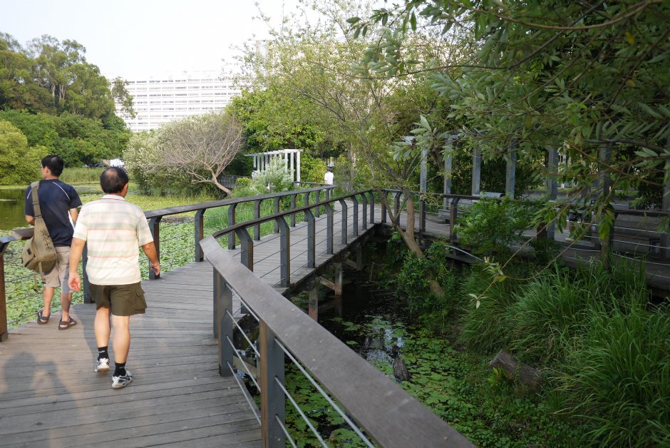 鳥松濕地公園 攝影：三井