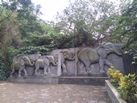 象山自然步道<br/> 攝影：Lu