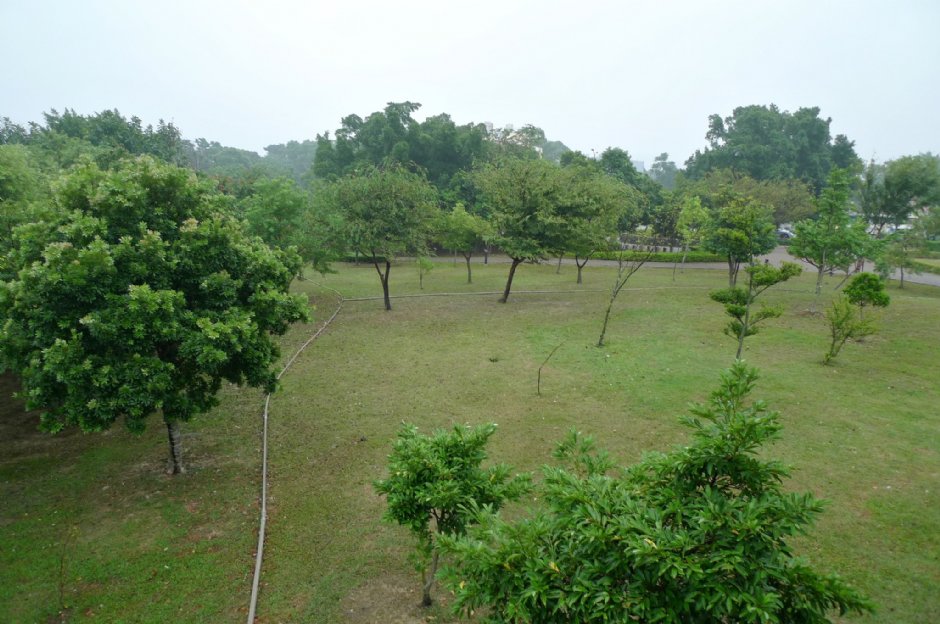 八德埤塘生態公園 攝影：Eva隨手拍