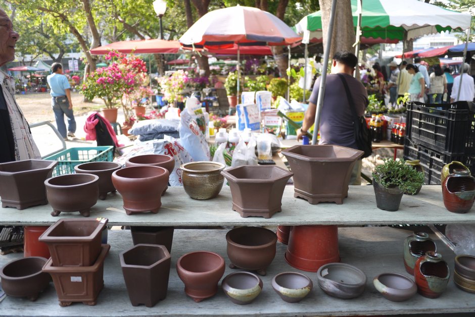勞工公園假日花市 攝影：三井