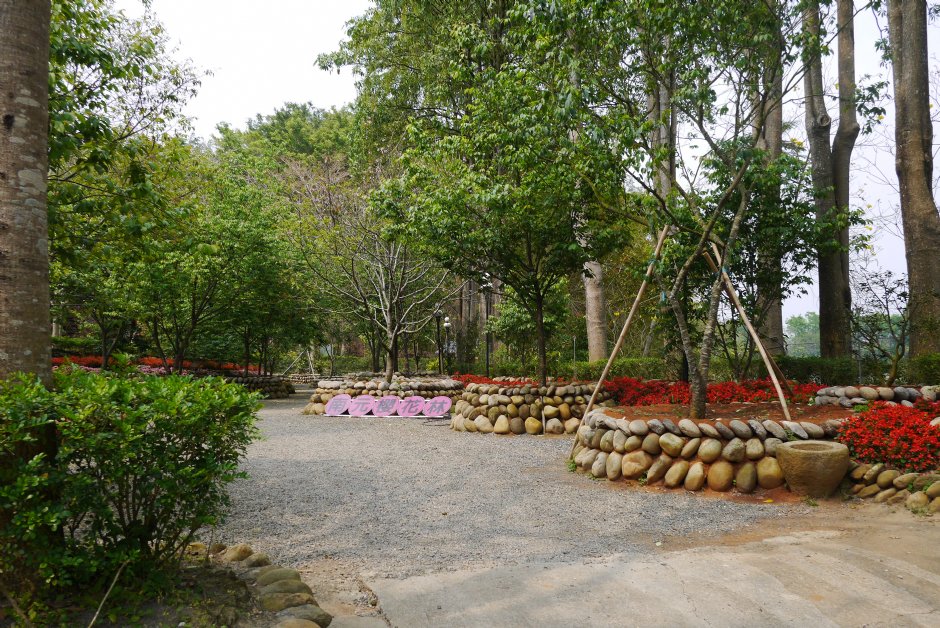 南元花園休閒農場櫻花區 攝影：三井