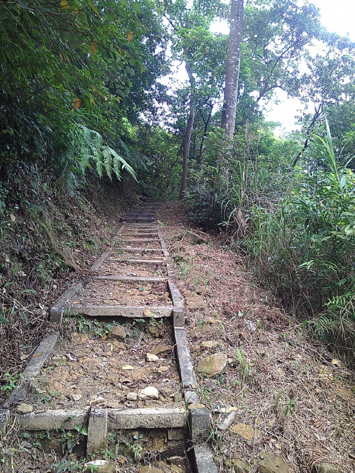 富民親水公園 攝影：Eva隨手拍