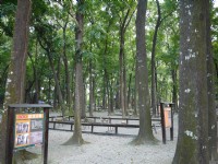 8大森林樂園<br/> 攝影：三個井
