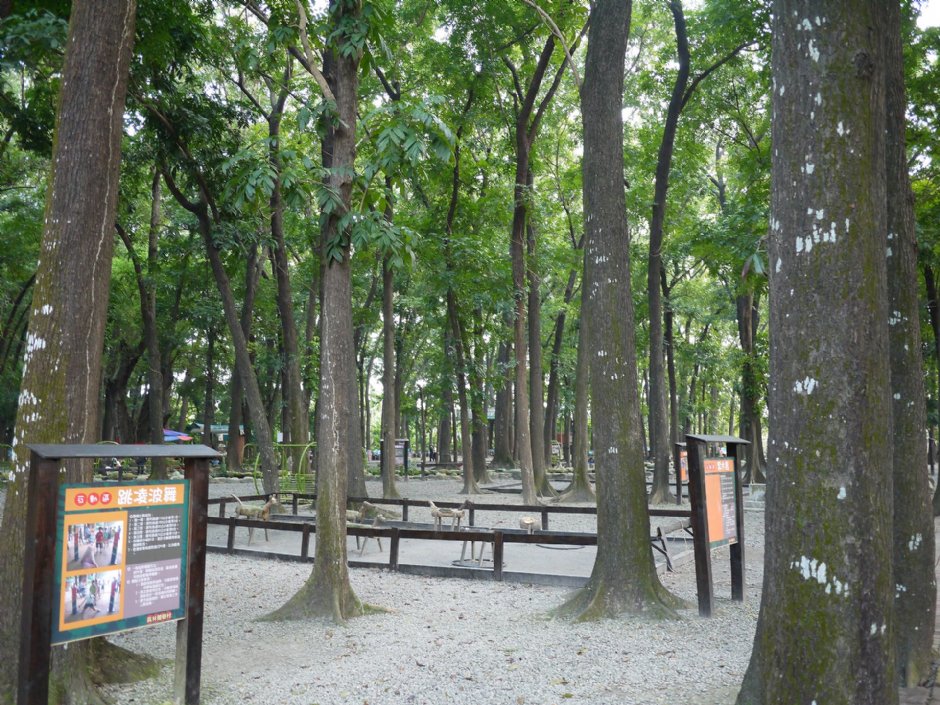 8大森林樂園 攝影：三個井