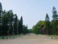 中山紀念林<br/> 攝影：Eva隨手拍