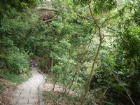 大津瀑布<br/> 攝影：旅遊王攝影組