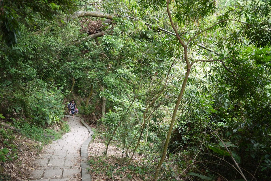 大津瀑布 攝影：旅遊王攝影組