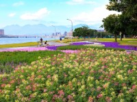 延平河滨公园（2023花海）<br/> 摄影：圖片來源_台北市政府工務局水利處官網