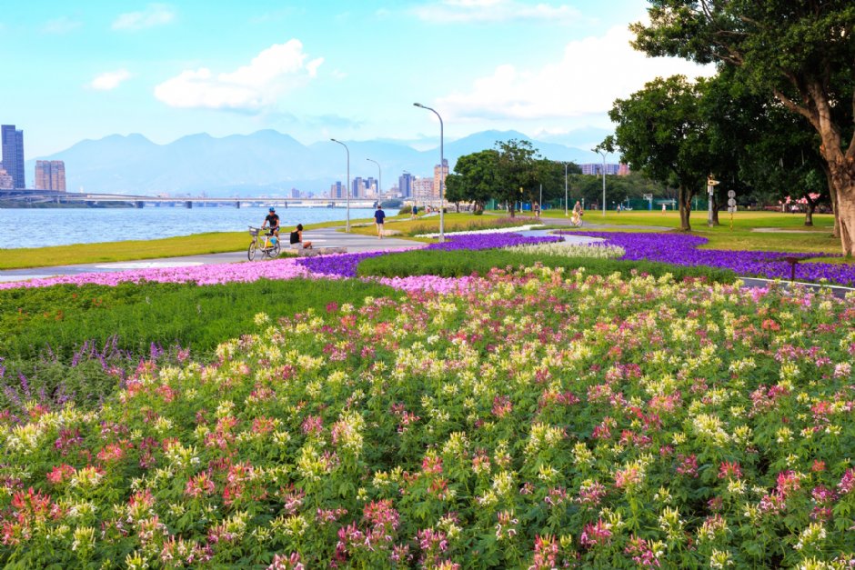 延平河滨公园（2023花海） 摄影：圖片來源_台北市政府工務局水利處官網