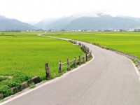 天堂路<br/> 攝影：Eva隨手拍
