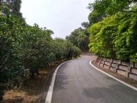 青青草原<br/> 摄影：Lu