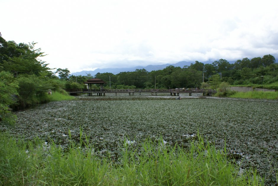羅山大魚池 (2010.09 攝) 攝影：Eva隨手拍