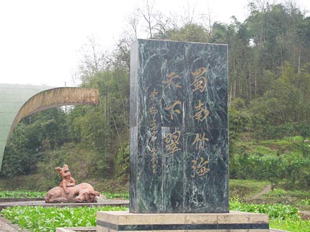 蜀南竹海淯江 攝影：四川旅遊信息網