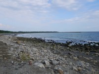 海濱秋茂園<br/> 攝影：三井