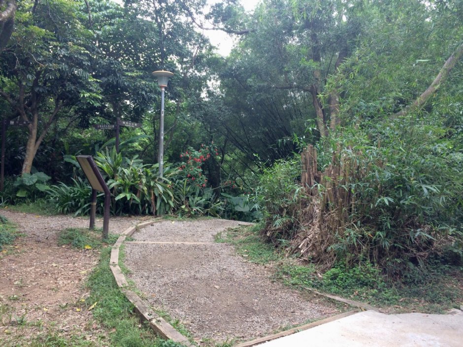 福州山公園 攝影：Eva隨手拍