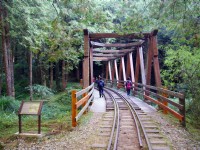 水山巨木步道<br/> 攝影：Eva隨手拍