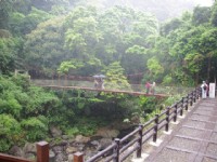 森林步道<br/> 攝影：Eva隨手拍
