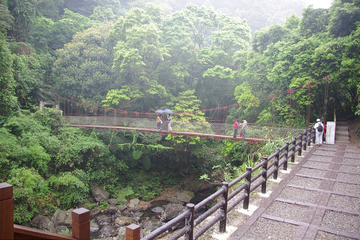 森林步道 攝影：Eva隨手拍