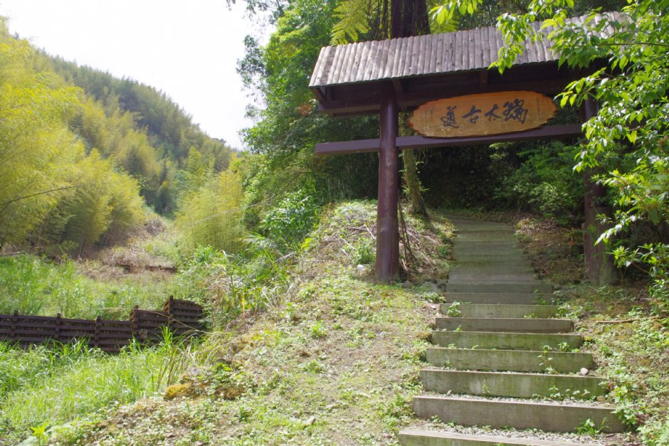 瑞太古道 攝影：Eva隨手拍
