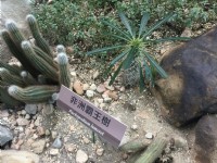 台北典藏植物园<br/> 摄影：Eva隨手拍