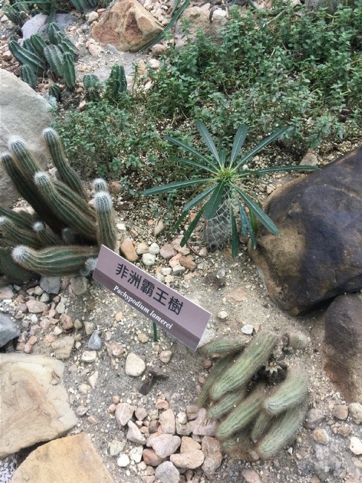 台北典藏植物园 摄影：Eva隨手拍